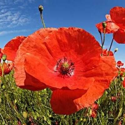 乐动体育下载app下载